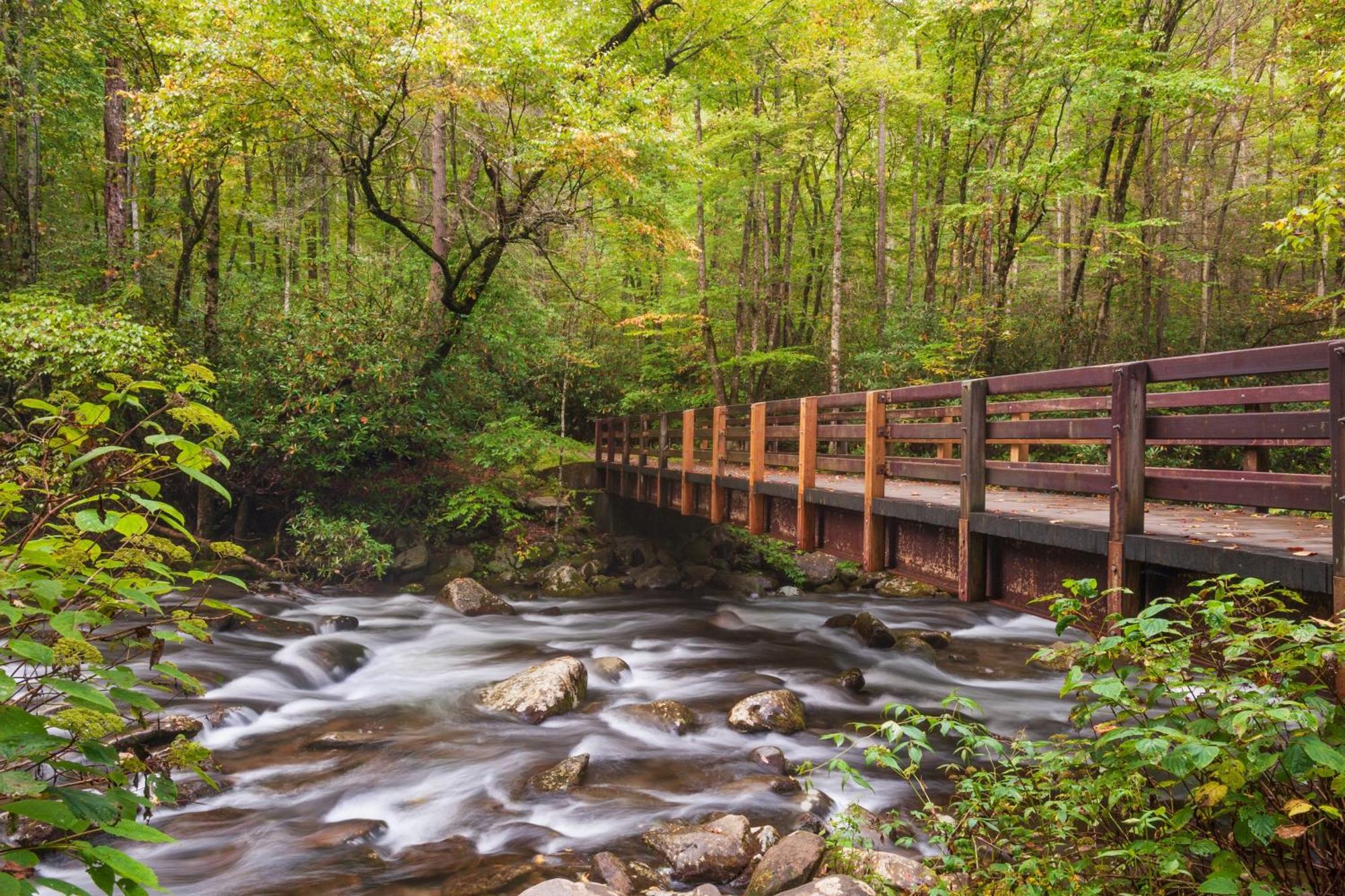 Bridgewood Cabin, Hot Tub, 1089 Of Free Attraction Tickets For Each Paid Day, Dollywood And More! Pigeon Forge Εξωτερικό φωτογραφία