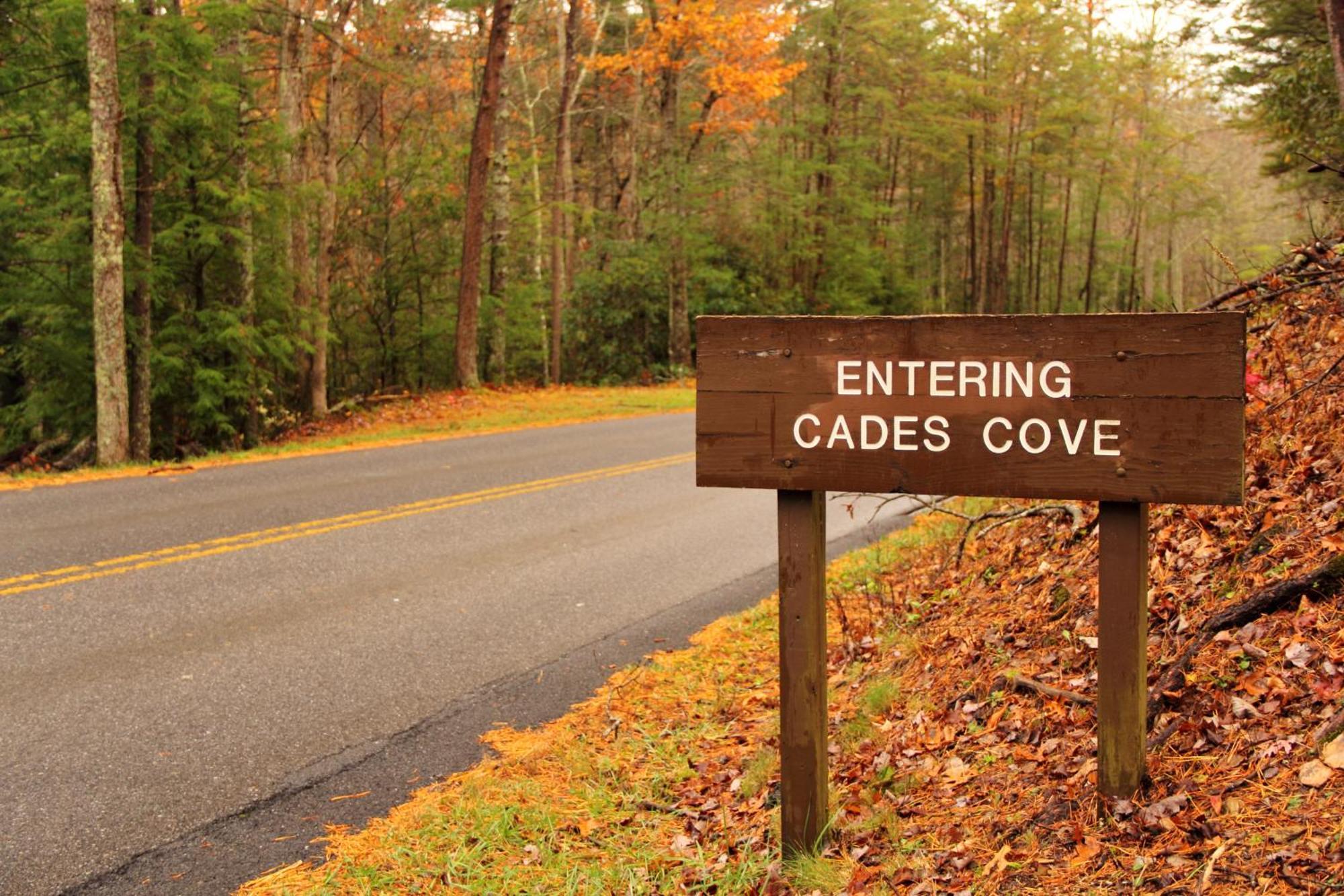 Bridgewood Cabin, Hot Tub, 1089 Of Free Attraction Tickets For Each Paid Day, Dollywood And More! Pigeon Forge Εξωτερικό φωτογραφία